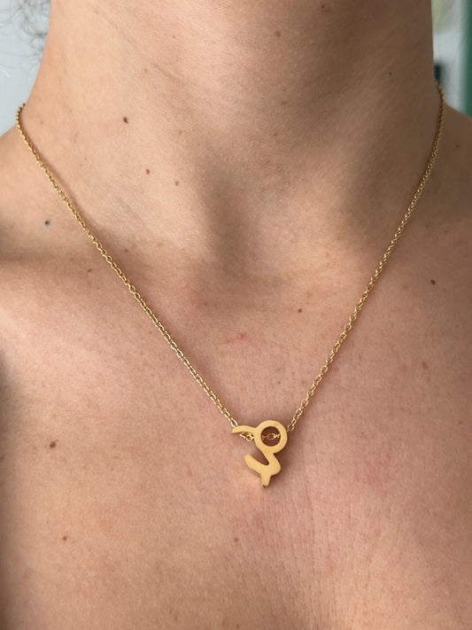 Collier pendentif zodiaque en acier inoxydable, collier chaîne dorée, signe capricorne, idée cadeau