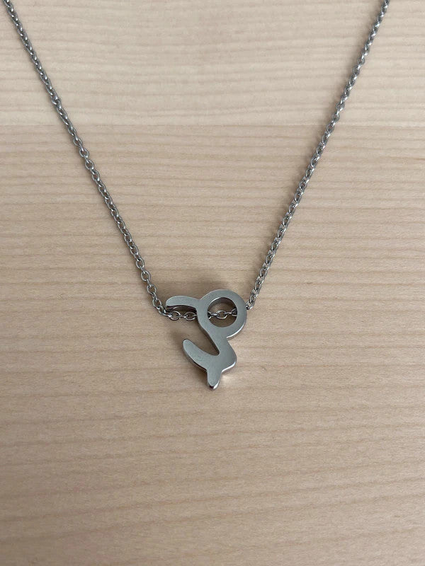 Collier pendentif zodiaque en acier inoxydable, chaîne argentée, signe capricorne, idée cadeau