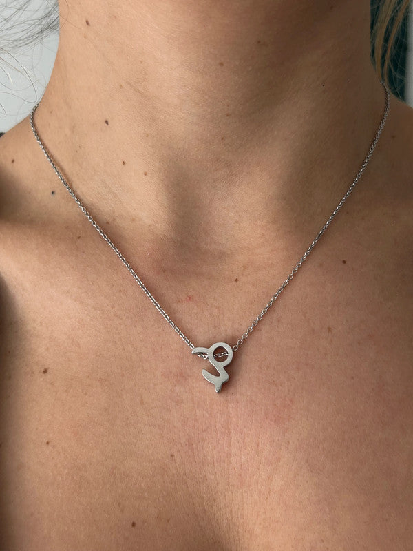 Collier pendentif zodiaque en acier inoxydable, chaîne argentée, signe capricorne, idée cadeau